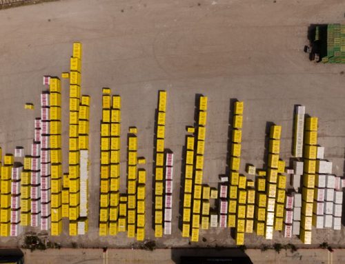 Smart Port Solution Surabaya Efisiensi Inspeksi Kontainer